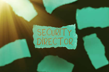 Conceptual caption Security Director. Business overview head of a private security force working for...