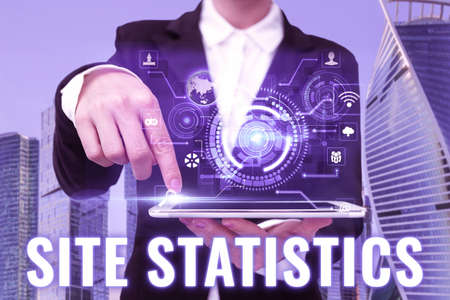Text sign showing Site Statistics. Business showcase measurement of behavior of visitors to certain...