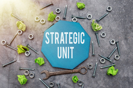 Text caption presenting Strategic Unit. Word Written on profit center focused on product offering and market segment. New Concept Brainstoming Maintenance Planning Creative Thought Toss Ideaの写真素材