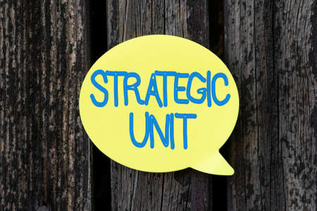 Text showing inspiration Strategic Unit. Business idea profit center focused on product offering and market segment. Thinking New Bright Ideas Renewing Creativity And Inspirationの写真素材