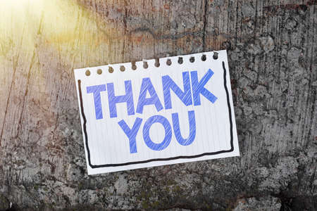 Text sign showing Thank You. Business idea polite expression used when acknowledging gift service compliment Thinking New Bright Ideas Renewing Creativity And Inspirationの写真素材