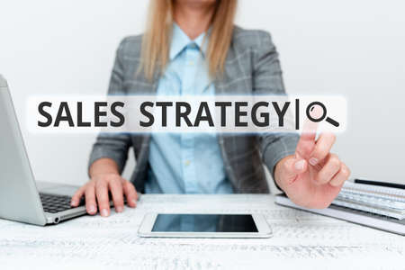 Text showing inspiration Sales Strategy. Business idea Plan for reaching and selling to your target market Marketing Architect Interviewing Client, Reporther Gathering Important Informationsの写真素材