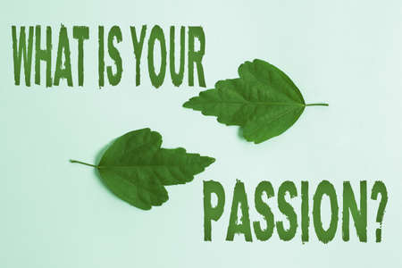 Text sign showing What Is Your Passion Question. Word Written on asking about his strong and barely controllable emotion Two Objects Arranged Facing Inward Outward On a Separated Coloured Backgroundの写真素材