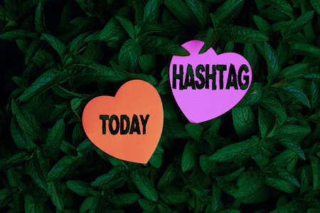 Conceptual display Hashtag. Concept meaning a word or phrase preceded by a hash sign Type of metadata tag Heart Shaped Paper On Top Of Outdoor Nature Leafy Plant Bush.の写真素材