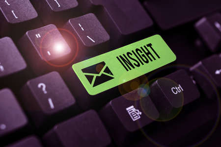 Text showing inspiration Insight. Business idea Capacity Gain accurate deep understanding of someone or something Abstract Creating Online Typing Services, Learning Computer Program Codesの写真素材