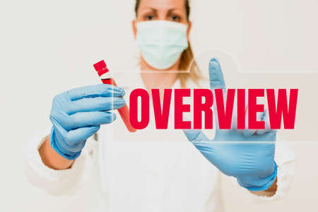 Sign displaying Overview. Business overview the general review or summary of subject project movie...