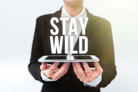 Text showing inspiration Stay Wild. Word for keep being you and doing what you re doing Never want...