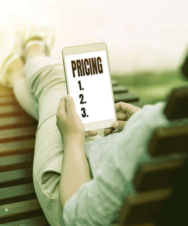 Writing displaying text Pricing. Business overview the method companies use to price their products or services Online Jobs And Working Remotely Connecting People Togetherの写真素材