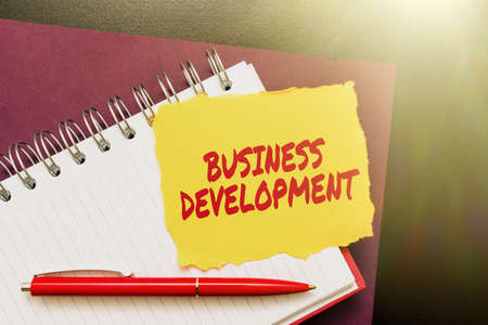 Handwriting text Business Development. Business overview Implement Growth Value within and between company Thinking New Bright Ideas Renewing Creativity And Inspirationの写真素材