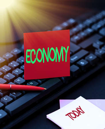 Handwriting text Economy. Word Written on Management of financial resources Accounting information analysis Inputting Important Informations Online, Typing Funny Internet Blogの写真素材