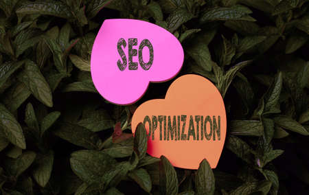 Handwriting text Seo Optimization. Business approach process of affecting online visibility of website or page Heart Shaped Paper On Top Of Outdoor Nature Leafy Plant Bush.の写真素材