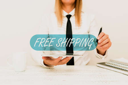Handwriting text Free Shipping. Business overview Freight Cargo Consignment Lading Payload Dispatch Cartage Developer Discussing Gadget Upgrade, Presenting Technical Specsの写真素材