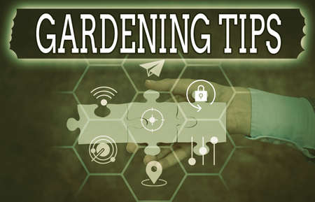 Conceptual caption Gardening Tips. Conceptual photo Proper Practices in growing crops Botanical...