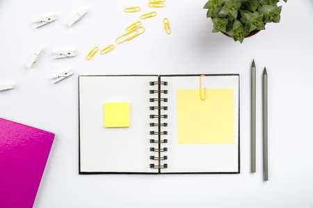 Flashy School Office Supplies, Bright Teaching Learning Collections, Creative Writing Tools,...