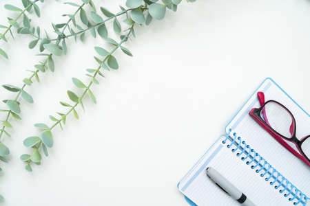 Flashy School Office Supplies, Bright Teaching Learning Collections, Creative Writing Tools,...