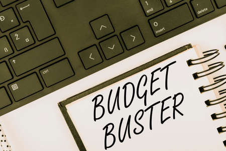 Text sign showing Budget Buster. Business overview Carefree Spending Bargains Unnecessary Purchases...