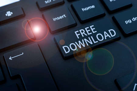 Text showing inspiration Free Download. Business overview Key in Transfigure Initialize Freebies...