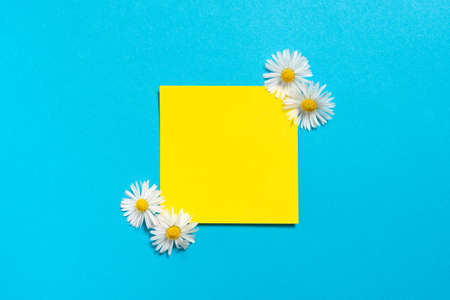Sticky Note With Important Messages With Flowers On Both Sides. Memo With Crutial Informations With Daisies Around. Piece Of Paper With Current Announcements.の写真素材