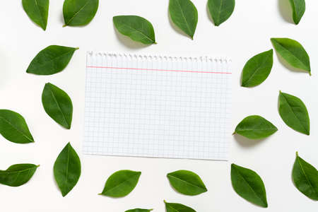 Notebook Sheet With Checked Patterned Lines Placed Between Fresh Leaves For Layout Of Invitation And...