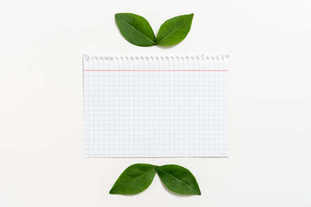Notebook Sheet With Checked Patterned Line And Leaves For Creative Banner. Blank Paper With Fresh Botany For Layout For Business Advertisement And Brand Promotion.の写真素材