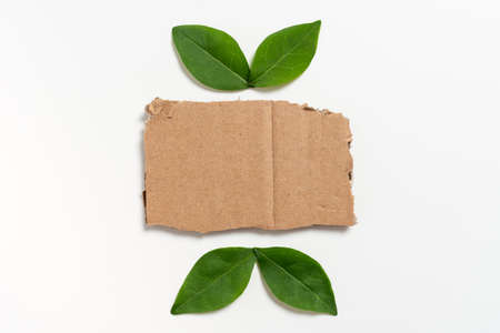 Blank Paper Arranged With Leaves Representing Business Promotion. Empty Rectangular Frame With Fresh Botany Decorated For Business Template And Advertisement.の写真素材