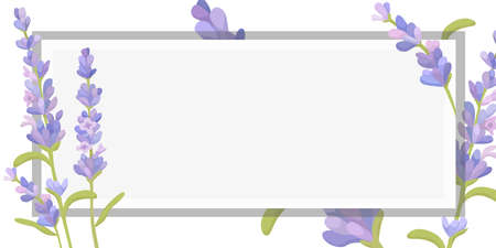 Frame With Leaves And Flowers Around And Important Announcements Inside. Framework With Different Plants All Over And Crutial Informations In. Floral Box With Recent Ideas.のイラスト素材