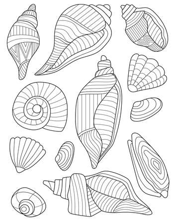 Coloring Book Page With Different Detailed Seashells. Sheet To Be Colored With Various Shells. Things Found In Sea Presented In Lined Drawing. Rock Crystals.のイラスト素材