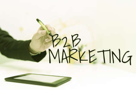 Conceptual caption B2B Marketing. Business overview Partnership Companies Supply Chain Merger Leads Resell Businesswoman With Tablet On Desk Presenting New Ideas With Pen.の写真素材