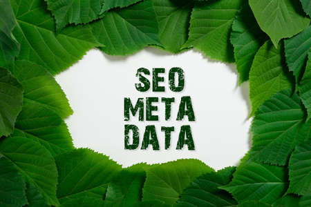 Writing displaying text Seo Meta Data. Word for Search Engine Optimization Online marketing strategy...