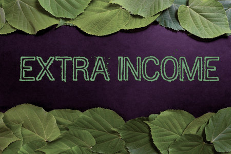 Sign displaying Extra Income. Business approach Additional fund received or earned from a non regular basis Important Informations Written On Paper Under Lot Of Leaves.の写真素材