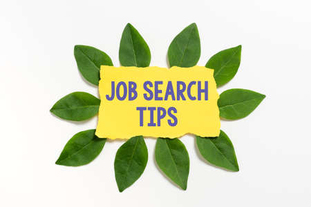 Sign displaying Job Search Tips. Business approach Recommendations to make a good resume to obtain a position Blank Color Paper Surrounded With Leaves For Invitation Card.の写真素材