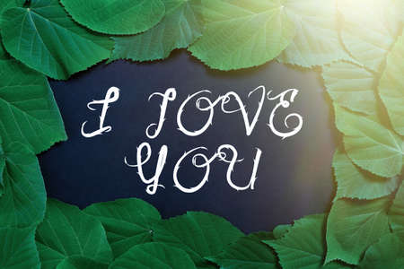 Text showing inspiration I Love You. Word Written on Expressing romantic feelings for someone Positive emotion Important Informations Written On Paper Under Lot Of Leaves.の写真素材