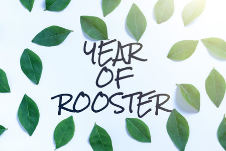 Sign displaying Year Of Rooster. Business showcase Chinese horoscope zodiac sign China traditional celebrationの写真素材