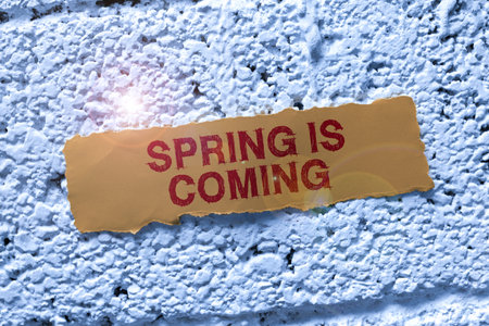 Conceptual caption Get Started Today. Word Written on After winter season is approaching Enjoy nature flowers sunの写真素材