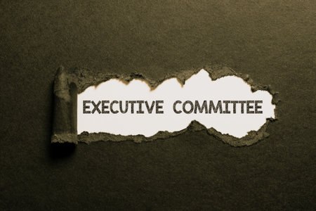 Handwriting text Executive Committee. Internet Concept Add Information in an Empty Space in a...