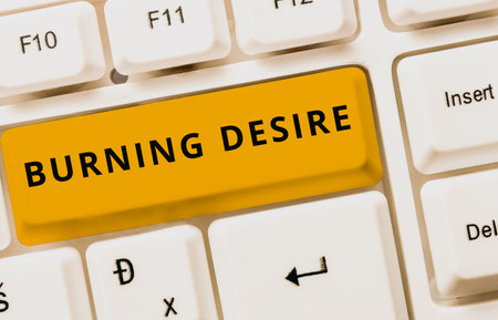 Writing displaying text Burning Desire. Business showcase Expectation to accomplish over a specific period of time Abstract Typist Practicing Speed Typing, Programmer Debugging Codesの写真素材