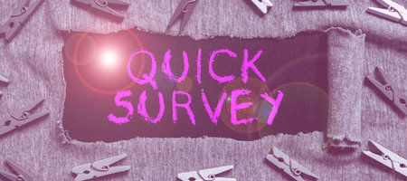 Conceptual caption Quick Survey. Word Written on Conduct fast check on condition value situation of somethingの写真素材