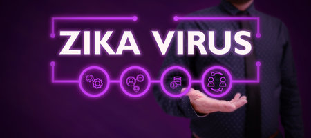 Text caption presenting Zika Virus. Business concept caused by a virus transmitted primarily by Aedes mosquitoesの写真素材