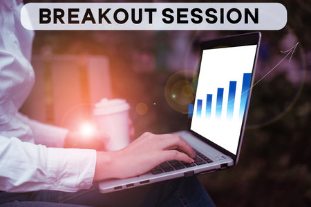 Conceptual display Breakout Session. Concept meaning workshop discussion or presentation on specific...