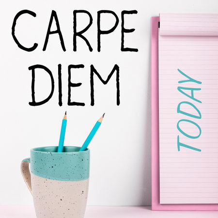 Sign displaying Carpe Diem. Business showcase public festival which people play music and danceの写真素材