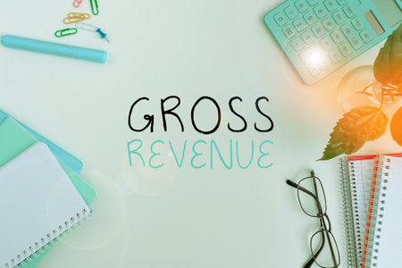 Text showing inspiration Gross Revenue. Business overview total value of everything produced in the countryの写真素材