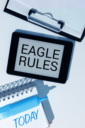 Writing displaying text Eagle Rules. Business idea a huge set of design rules which your layout...