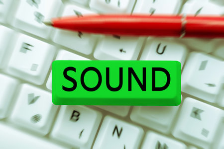 Text showing inspiration Sound. Business concept vibrations that travel through air can be heard when they reach earの写真素材