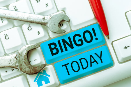 Conceptual display Bingo. Business approach game of chance in which each player matches numbers printedの写真素材