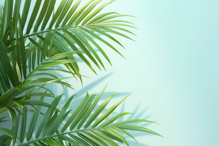 Palm leaves in sunlight. Tropical nature background. Copy space.の素材