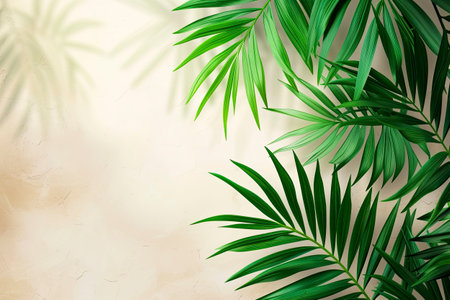 Palm leaves in sunlight. Tropical nature background. Copy space.の素材