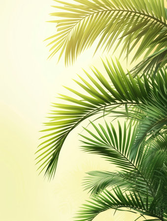 Tropical green palm leaves on white wall background. 3d render Palm Sunday Poster design, realistic, HD, copy spaceの素材