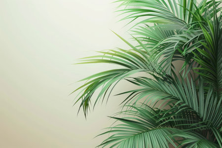 Coconut palm tree leaves on blue sky background with copy spaceの素材