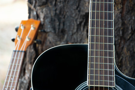 Guitar and ukulele leaning on a treeの写真素材