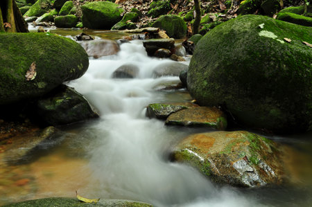 Water flowing over rocks in a stream in the forest, Malaysiaの写真素材
